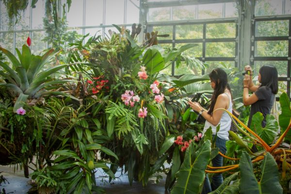 Conservatory - San Diego Botanic Garden