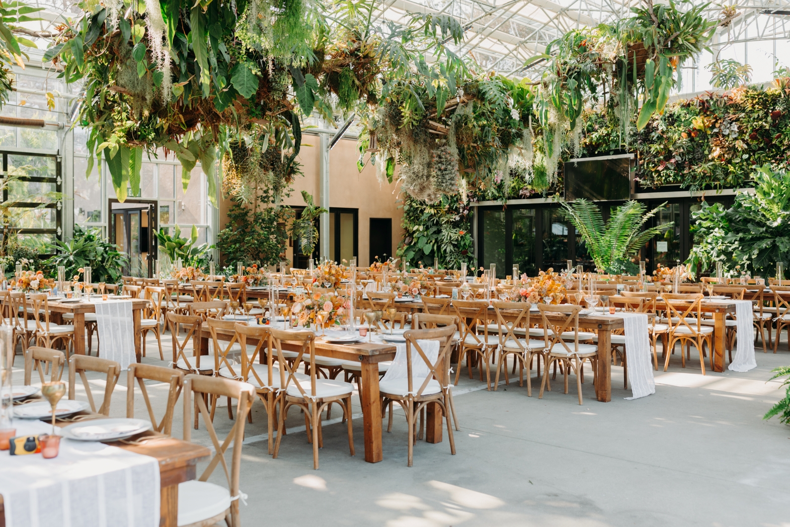 Event tables set up in greenhouse with plants hanging overhead