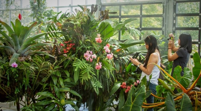 two people take photos of the plants in the greenhouse