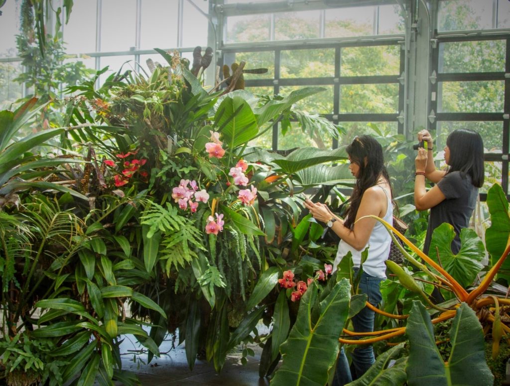 Press & Media - San Diego Botanic Garden