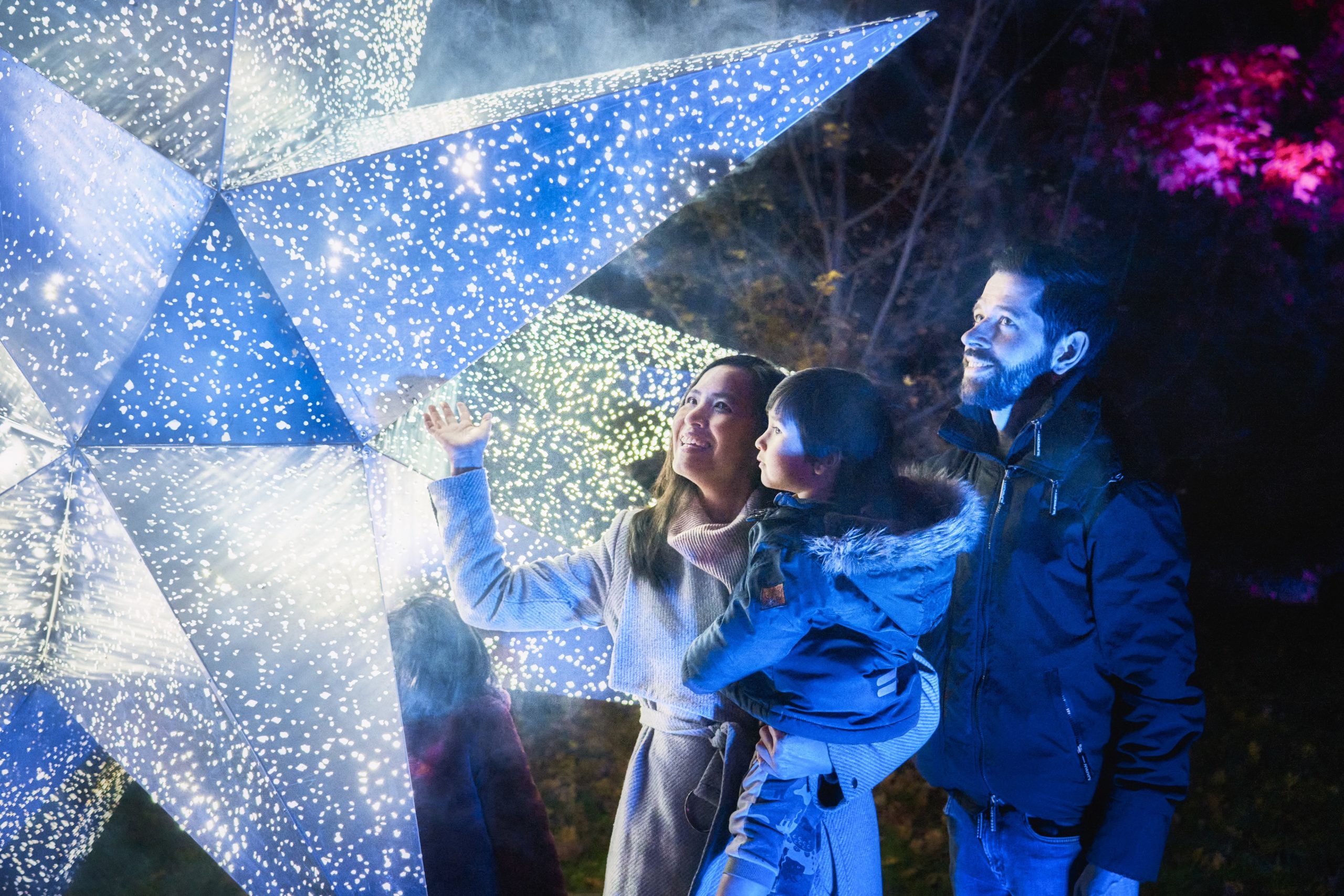 Lightscape - San Diego Botanic Garden