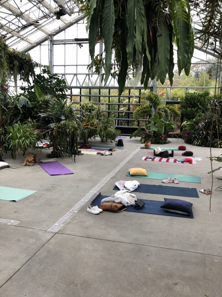 yoga-mats-inside-botanic-conservatory