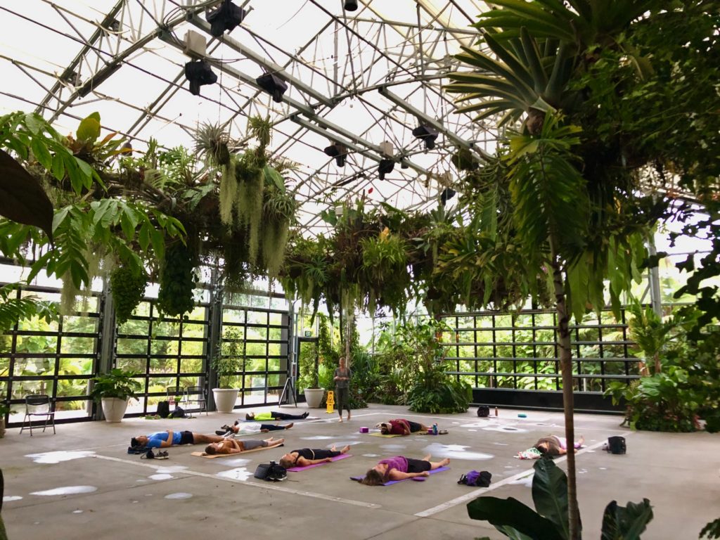 people-doing-yoga-in-botanical-conservatory