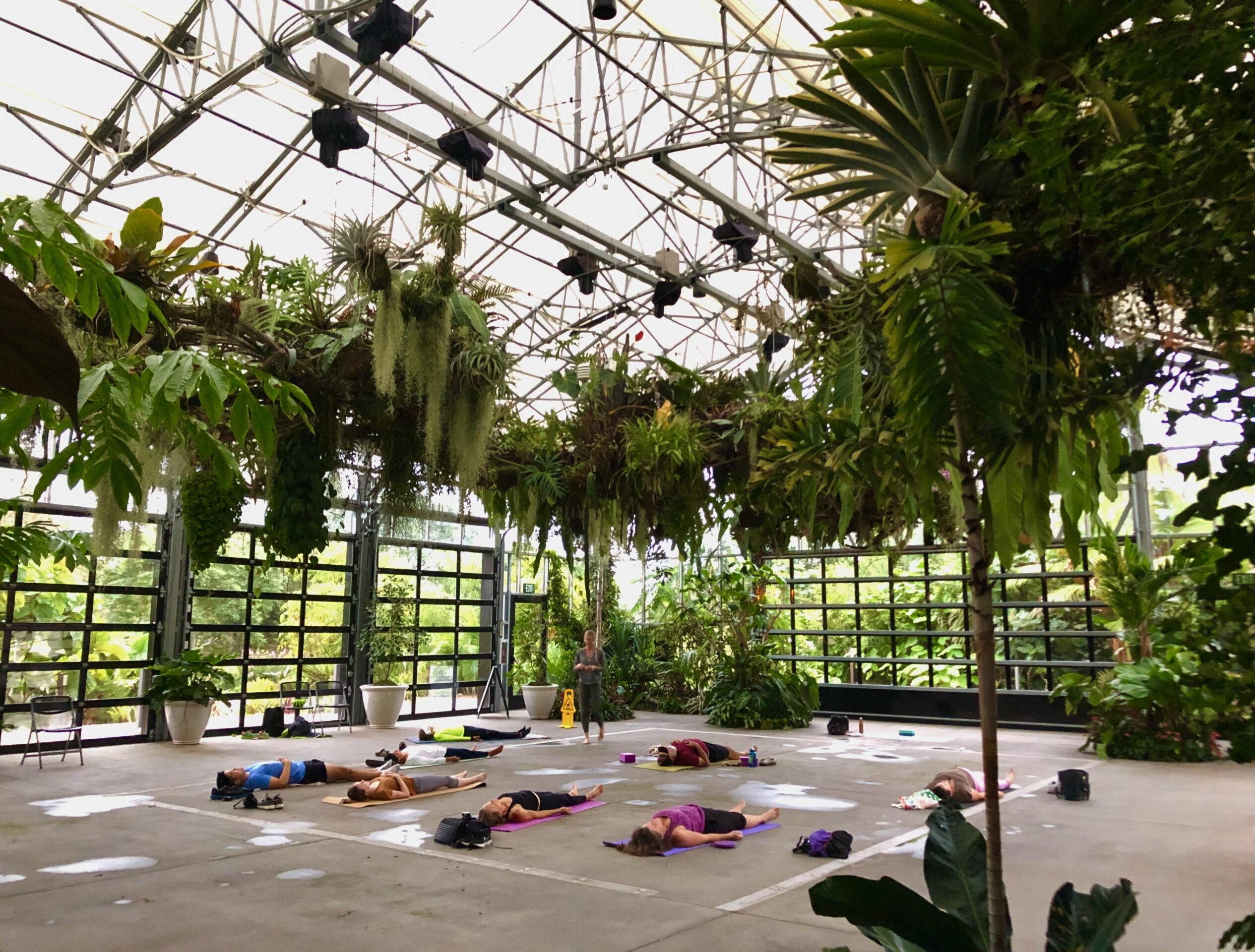 people-doing-yoga-in-botanical-conservatory