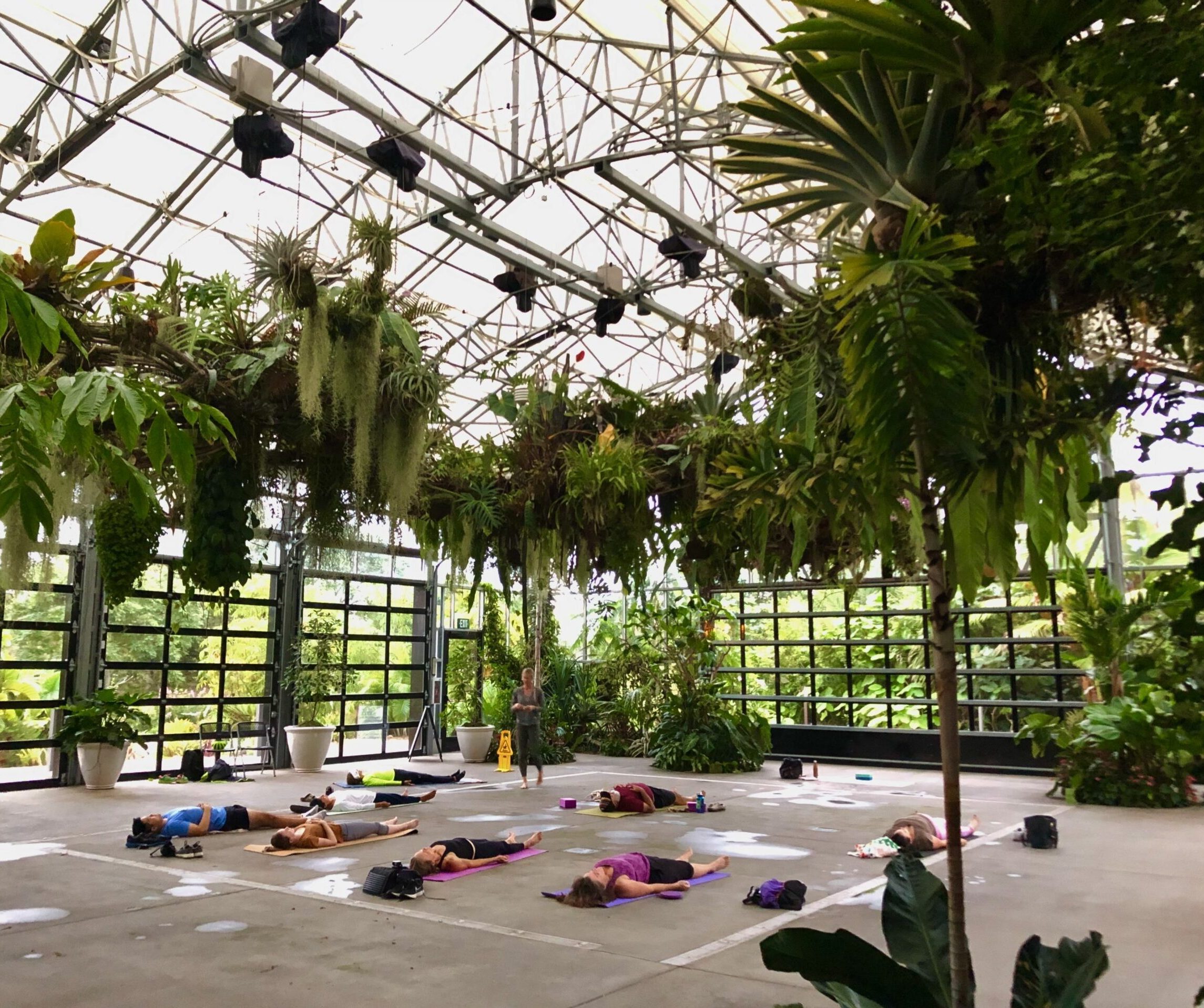 people-doing-yoga-in-botanical-conservatory