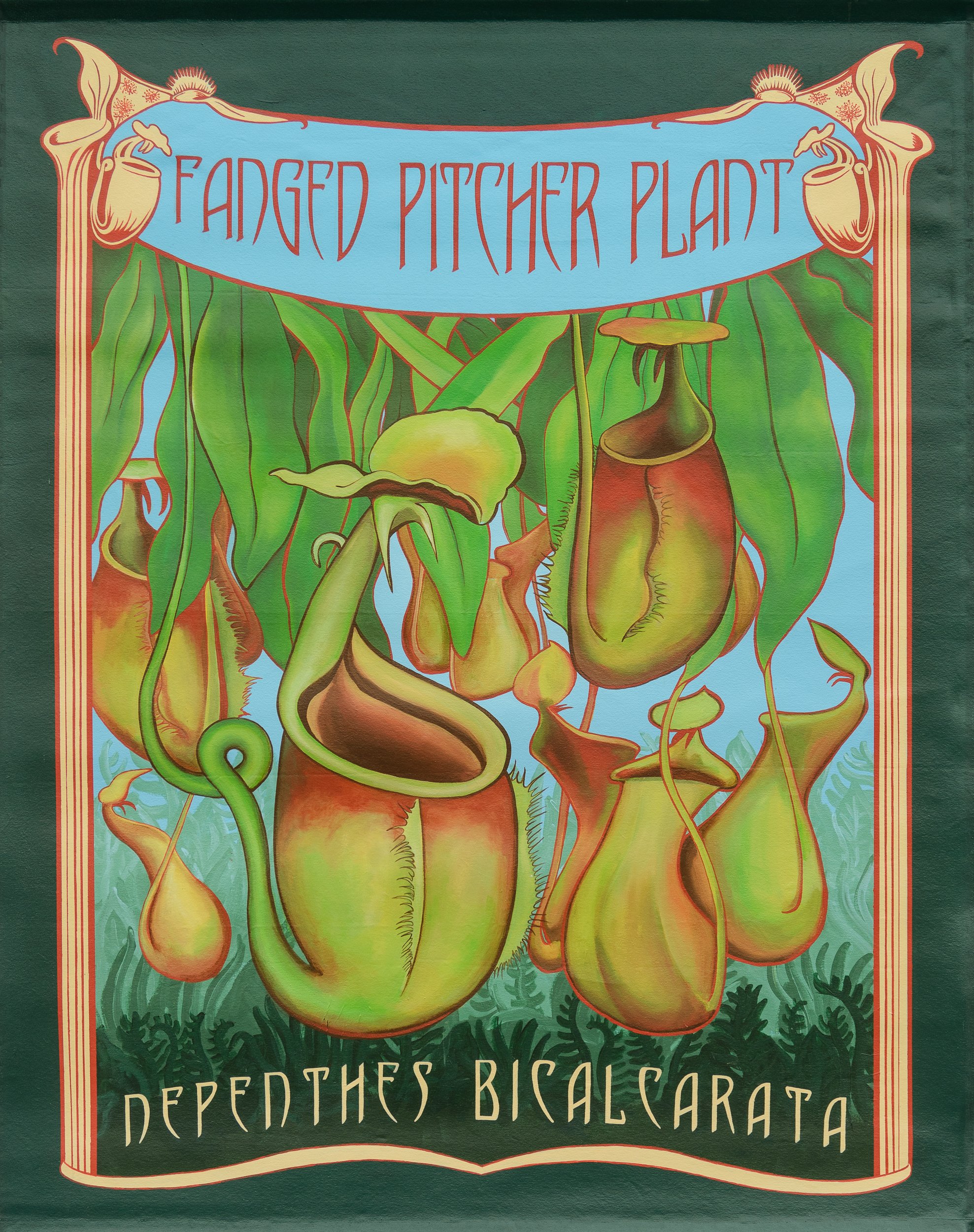 Tropical Pitcher Plant_illustration