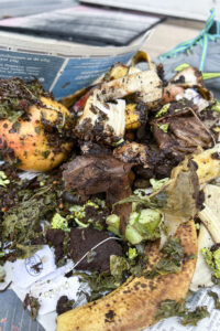 scraps of food on newspaper for composting