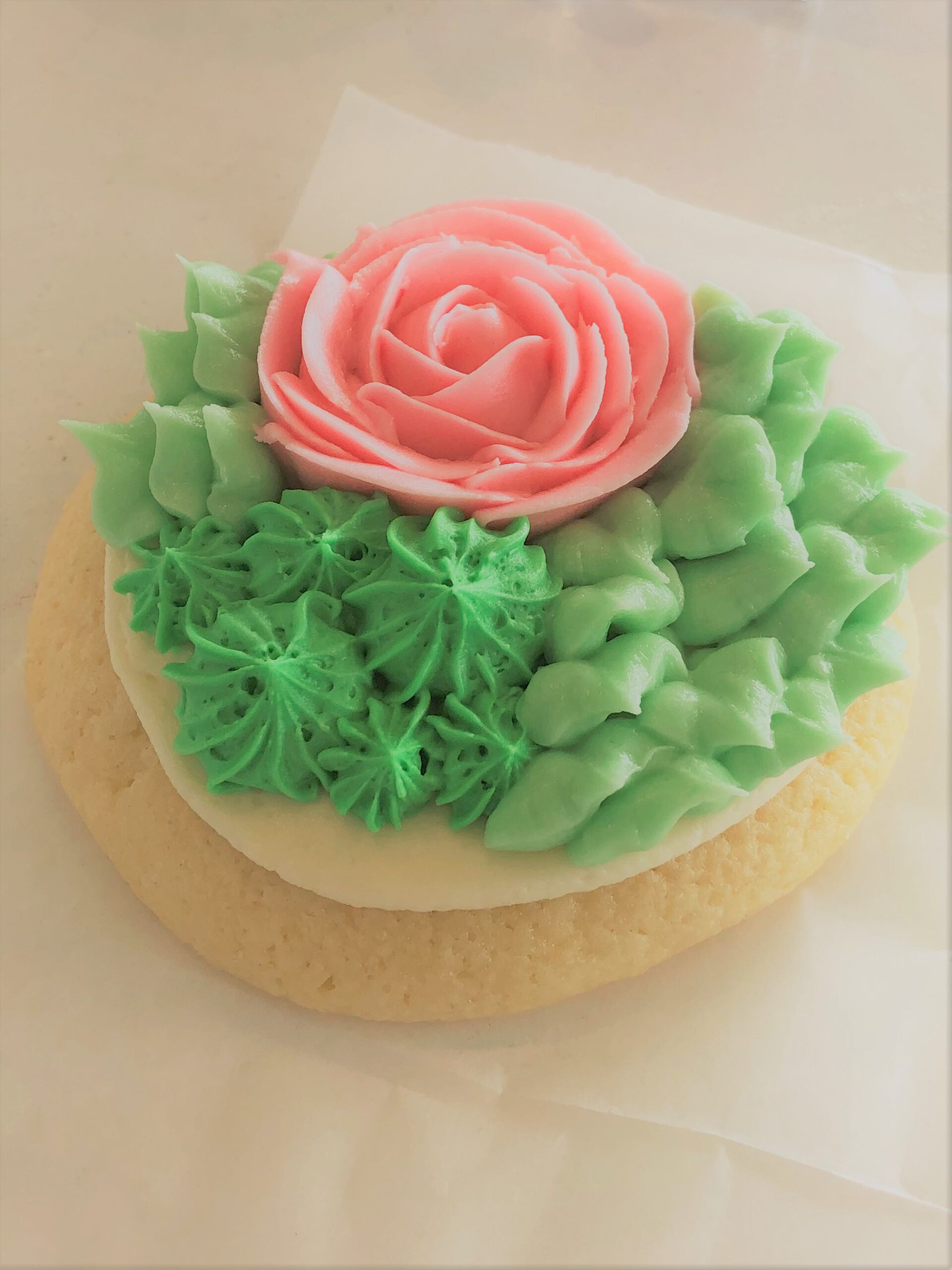 sugar cookie with succulent shaped frosting on top