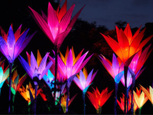 Colorful large flower installations