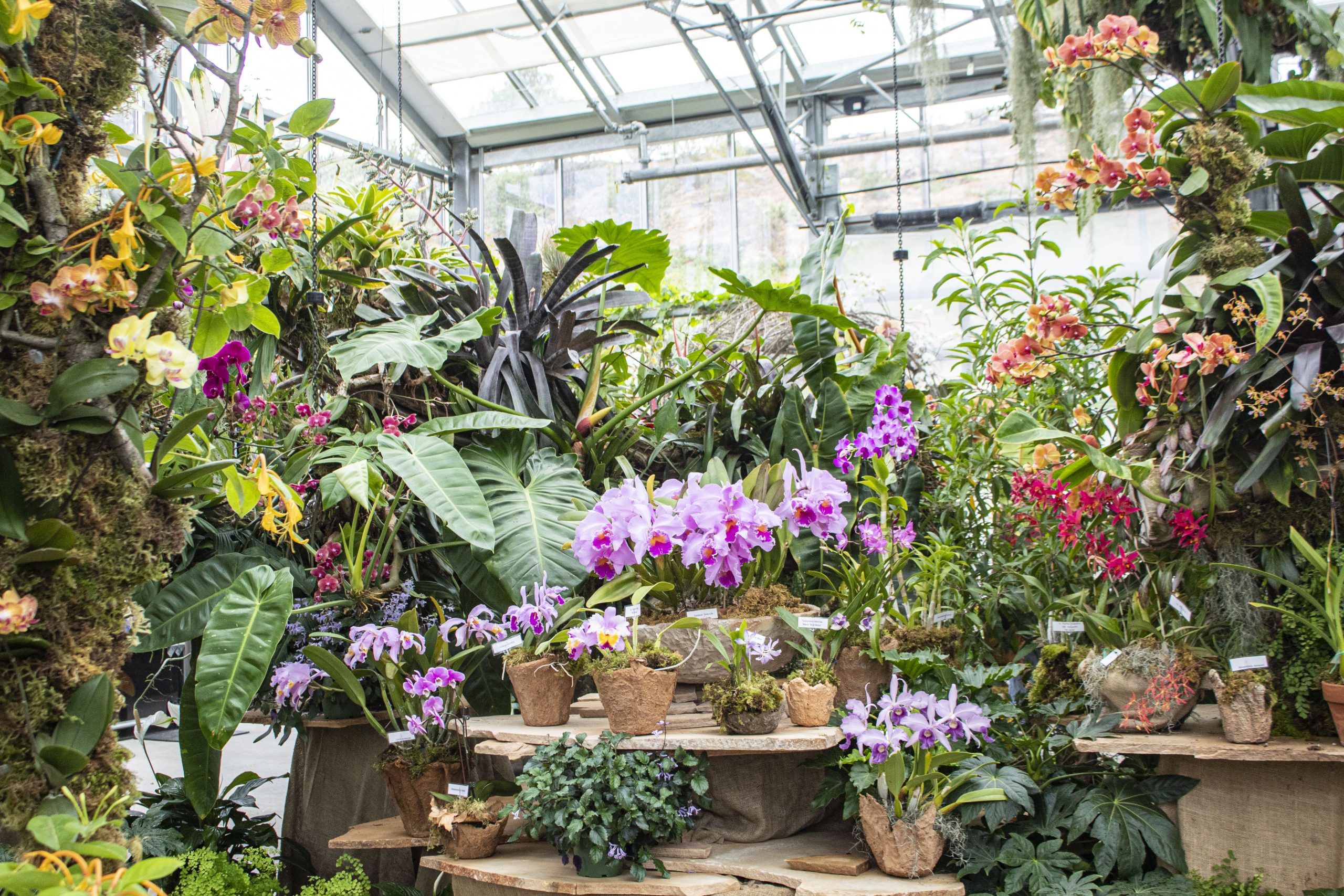 San Diego Botanic Garden